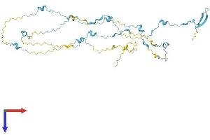 AlphaFold protein structure predicition of Human Recombinant SAXO2 Protein, UniprotID Q658L1