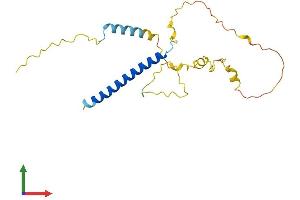 AlphaFold protein structure predicition of Human Recombinant MBD3L2 Protein, UniprotID Q8NHZ7