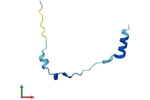 AlphaFold protein structure predicition of Mouse Recombinant Tmsb4x Protein, UniprotID P20065