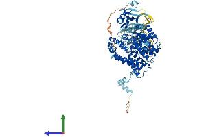 AlphaFold protein structure predicition of Mouse Recombinant Pde10a Protein, UniprotID Q8CA95