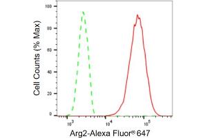 Flow cytometric analysis of Arg2 expression in HT- cells using Arg2 antibody (ABIN7797644), 1:2,000). (Recombinant ARG2 anticorps)