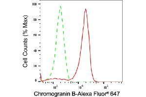 Flow cytometric analysis of Chromogranin B expression in HeLa cells using Chromogranin B antibody (ABIN7798073), 1:2,000). (Recombinant CHGB anticorps)