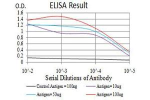 Black line: Control Antigen (100 ng), Purple line: Antigen(10 ng), Blue line: Antigen (50 ng), Red line: Antigen (100 ng),