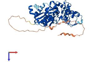 AlphaFold protein structure predicition of Human Recombinant ACTL7A Protein, UniprotID Q9Y615