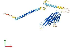 AlphaFold protein structure predicition of Human Recombinant TNFSF10 Protein, UniprotID P50591