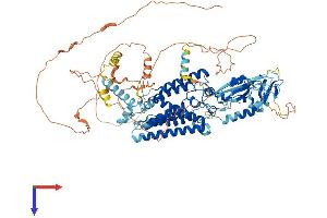 AlphaFold protein structure predicition of Mouse Recombinant Rhbdf2 Protein, UniprotID Q80WQ6