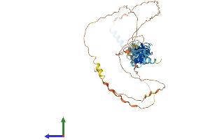 AlphaFold protein structure predicition of Human Recombinant TRIP6 Protein, UniprotID Q15654