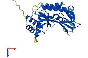 AlphaFold protein structure predicition of Human Recombinant C1orf74 Protein, UniprotID Q96LT6