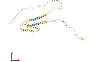 AlphaFold protein structure predicition of Human Recombinant ODF4 Protein, UniprotID Q2M2E3