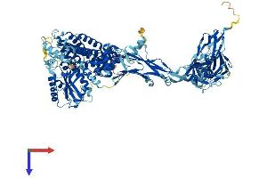AlphaFold protein structure predicition of Mouse Recombinant Trappc11 Protein, UniprotID B2RXC1