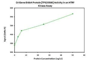 Bioactivity measured with Activity Assay