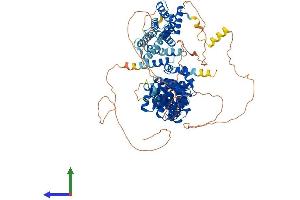 AlphaFold protein structure predicition of Mouse Recombinant Eif4g2 Protein, UniprotID Q62448