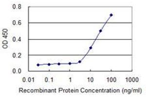 Detection limit for recombinant GST tagged SIRT3 is 3 ng/ml as a capture antibody.