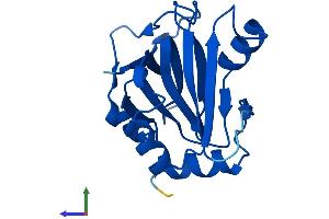 AlphaFold protein structure predicition of Mouse Recombinant Adi1 Protein, UniprotID Q99JT9
