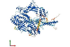 AlphaFold protein structure predicition of Mouse Recombinant Pold1 Protein, UniprotID P52431