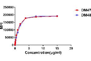 Affinity ranking of different Rabbit anti-ACE2 mAb clones by titration of different concentration onto Expi 293 cell line transfected with human ACE2. (Recombinant ACE2 anticorps  (AA 18-740))