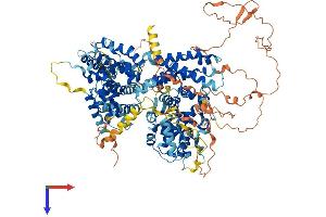 AlphaFold protein structure predicition of Human Recombinant RBL1 Protein, UniprotID P28749