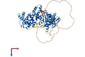 AlphaFold protein structure predicition of Mouse Recombinant Tbc1d23 Protein, UniprotID Q8K0F1