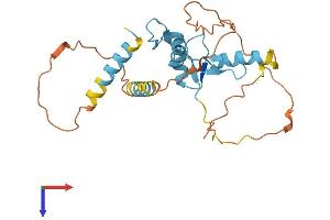 AlphaFold protein structure predicition of Mouse Recombinant Klf9 Protein, UniprotID O35739