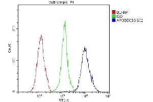 Flow Cytometry analysis of THP-1 cells using anti-APOBEC3G antibody (ABIN6719444).