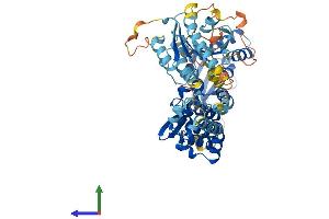 AlphaFold protein structure predicition of Mouse Recombinant Rhobtb3 Protein, UniprotID Q9CTN4