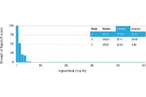 Analysis of Protein Array containing more than 19,000 full-length human proteins using CD14 Mouse Monoclonal Antibody (LPSR/2397) Z- and S- Score: The Z-score represents the strength of a signal that a monoclonal antibody (MAb) (in combination with a fluorescently-tagged anti-IgG secondary antibody) produces when binding to a particular protein on the HuProtTM array.