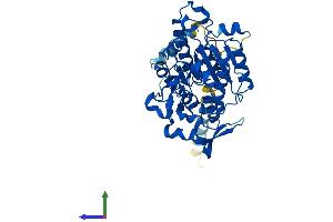 AlphaFold protein structure predicition of Mouse Recombinant Gcnt2 Protein, UniprotID P97402