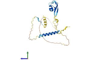 AlphaFold protein structure predicition of Human Recombinant LYSMD1 Protein, UniprotID Q96S90