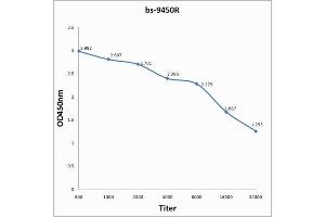 Antigen: 2 µg/100 µL Primary: Antiserum, 1:500, 1:1000, 1:2000, 1:4000, 1:8000, 1:16000, 1:32000;  Secondary: HRP conjugated Goat Anti-Rabbit IgG at 1: 5000;  TMB staining;  Read the data in MicroplateReader by 450nm.