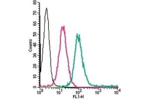 Cell surface detection of ADORA2A in live intact human THP-1 monocytic leukemia cells: (black line) Cells.
