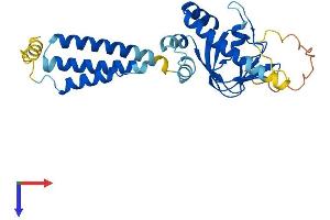 AlphaFold protein structure predicition of Human Recombinant POPDC3 Protein, UniprotID Q9HBV1