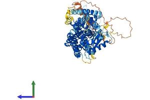 AlphaFold protein structure predicition of Mouse Recombinant Tubgcp4 Protein, UniprotID Q9D4F8