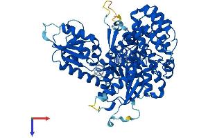 AlphaFold protein structure predicition of Human Recombinant VPS33A Protein, UniprotID Q96AX1