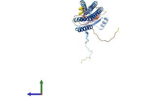 AlphaFold protein structure predicition of Mouse Recombinant Duoxa1 Protein, UniprotID Q8VE49