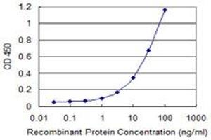 Detection limit for recombinant GST tagged PRMT3 is 0.