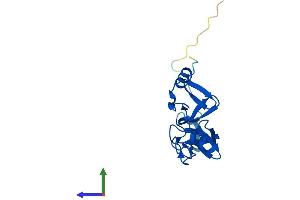 AlphaFold protein structure predicition of Mouse Recombinant Lmo2 Protein, UniprotID P25801