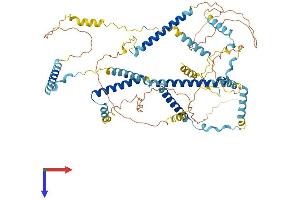 AlphaFold protein structure predicition of Human Recombinant FAM161A Protein, UniprotID Q3B820