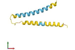 AlphaFold protein structure predicition of Mouse Recombinant Nnat Protein, UniprotID Q61979