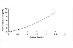 Cysteinyl Leukotriene Receptor 2 (CYSLTR2) ELISA Kit