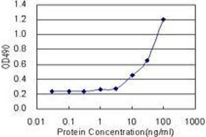Sandwich ELISA detection sensitivity ranging from 3 ng/mL to 100 ng/mL. (LZTFL1 (Humain) Matched Antibody Pair)