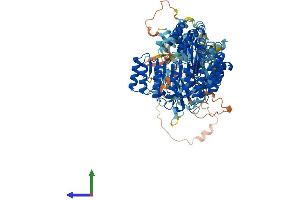 AlphaFold protein structure predicition of Mouse Recombinant Nlrp3 Protein, UniprotID Q8R4B8