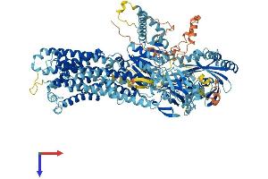 AlphaFold protein structure predicition of Human Recombinant ATP8B1 Protein, UniprotID O43520