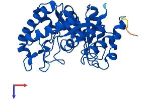 AlphaFold protein structure predicition of Mouse Recombinant Hyi Protein, UniprotID Q8R1F5