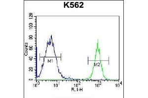 Flow cytometric analysis of K562 cells (right histogram) compared to a negative control cell (left histogram). (Parathymosin anticorps  (C-Term))