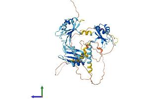 AlphaFold protein structure predicition of Mouse Recombinant Celf1 Protein, UniprotID P28659