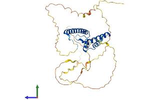 AlphaFold protein structure predicition of Mouse Recombinant Neurod4 Protein, UniprotID O09105