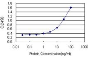 Sandwich ELISA detection sensitivity ranging from 1 ng/mL to 100 ng/mL. (TCF7 (Humain) Matched Antibody Pair)