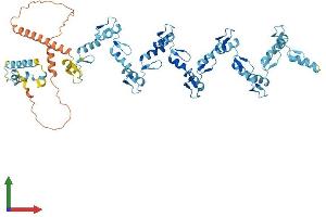 AlphaFold protein structure predicition of Human Recombinant ZNF93 Protein, UniprotID P35789