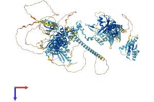 AlphaFold protein structure predicition of Human Recombinant EIF2AK4 Protein, UniprotID Q9P2K8