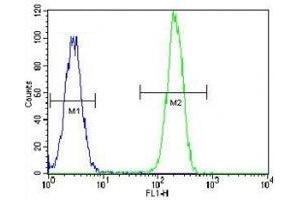 NPM1 antibody flow cytometric analysis of HeLa cells (green) compared to a negative control (blue).
